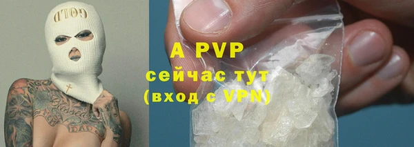 дживик Гусев