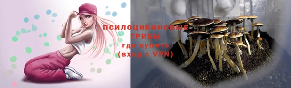 COCAINE Гусиноозёрск