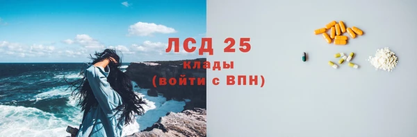 дживик Гусев