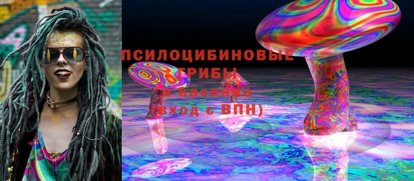 дживик Гусев