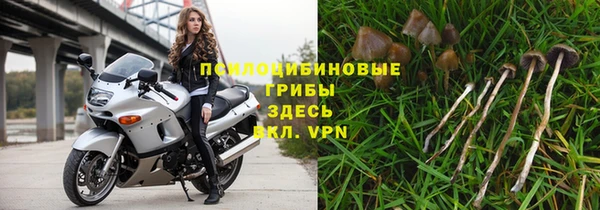 COCAINE Гусиноозёрск