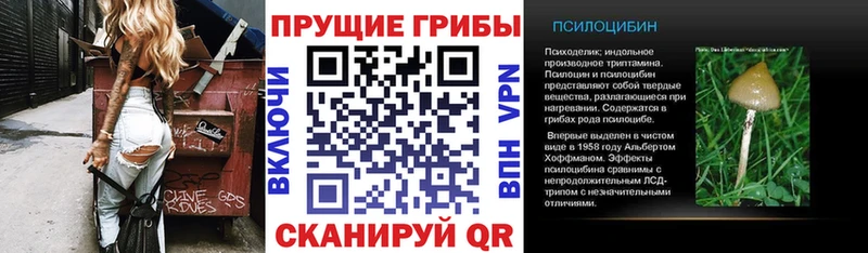 МЕГА как зайти  Раменское  Галлюциногенные грибы Psilocybine cubensis 